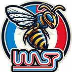 wasp slot
